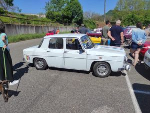 IMG 20250501 114058