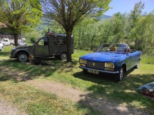 IMG 20250501 135752