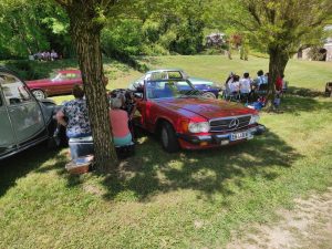 IMG 20250501 135809