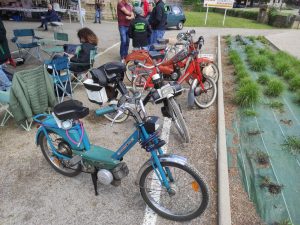IMG 20250427 143725