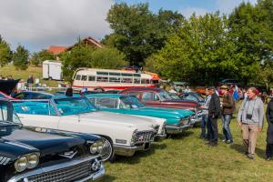 Verna - 03-09-2017-140