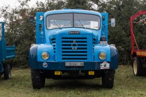 Verna - 03-09-2017-9